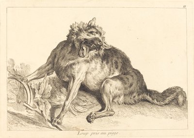 罠にかかったオオカミ 作： Jacques Philippe Le Bas and Jean Eric Rehn after Jean Baptiste Oudry