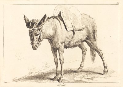 ミュレット（ミュールまたはサドルロバ） 作： Jacques Philippe Le Bas and Jean Eric Rehn after Jean Baptiste Oudry