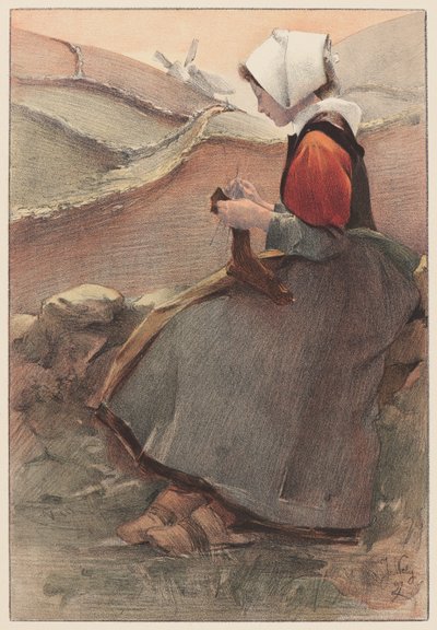 ムーアの花、1897年。 作： Jacques Wely