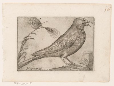 ムクドリ (Sturnus vulgaris) キャンセル（オブジェクトのタイトル） 鳥（シリーズタイトル） 作： Jacques de Fornazeris
