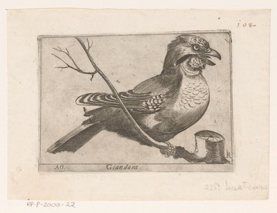 カケス (Garrulus grandarius) Giandara (オブジェクトのタイトル) 鳥（シリーズタイトル） 作： Jacques de Fornazeris