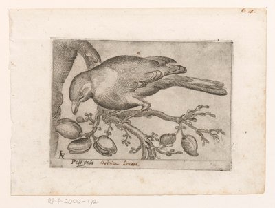 Vogel Poli gola (title on object) Vogels (series title)   1364599   ja       japanese Successfully Translated  Original: Stephans Quintet (MIRI Image) Translat: Stephan