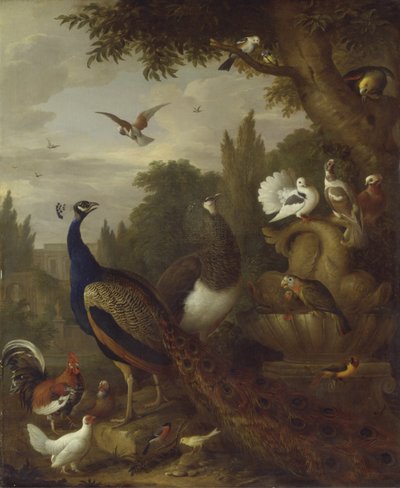 公園内の孔雀、ピーエン、オウム、カナリア、その他の鳥、c.1708-10 作： Jakob Bogdani or Bogdany