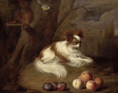 不明な画像 作： Jakob Bogdani or Bogdany