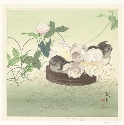 ひよこ 作： Jakuun (possibly)