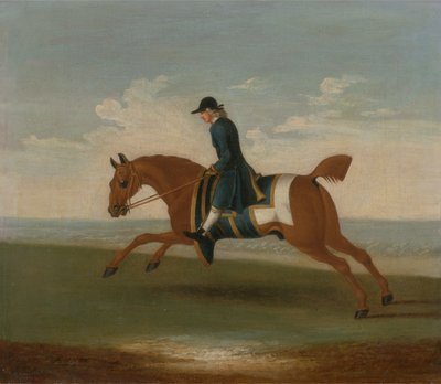 青いコートでトレーナーが練習した栗の競走馬（キャンバスに油彩） 作： James (attr.) Seymour