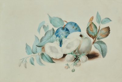 静物 作： James (attr.to) Goddard