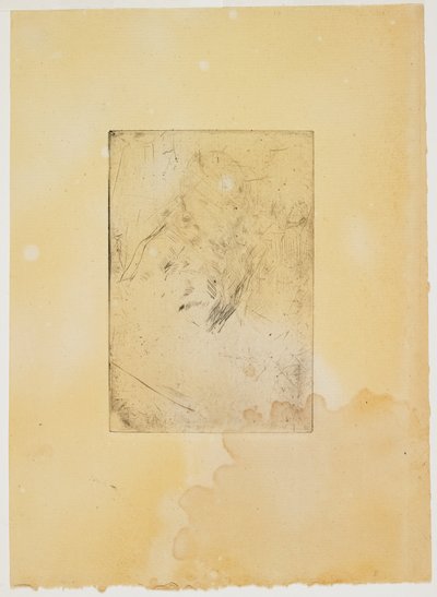 肖像習作 作： James Abbott McNeill Whistler