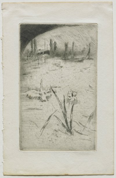 白鳥とアイリス、1883年。 作： James Abbott McNeill Whistler