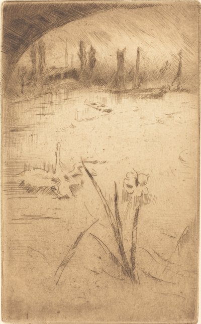 白鳥とアイリス、1883 年に発行されました。 作： James Abbott McNeill Whistler