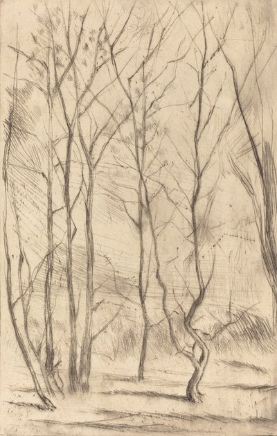 ダムウッド、1875年。 作： James Abbott McNeill Whistler