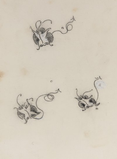 3つのウィスラーバタフライ（平版用転写紙にクレヨンとチャイニーズホワイト） 作： James Abbott McNeill Whistler