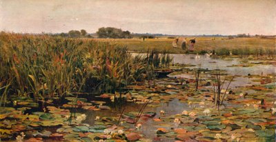 睡蓮、c1870 作： James Aumonier