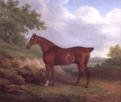 A Chestnut Thoroughbred（油彩・キャンバス） 作： James Barenger