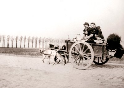 アントワープのカートで女性を引っ張っている犬、1898年。 作： James Batkin