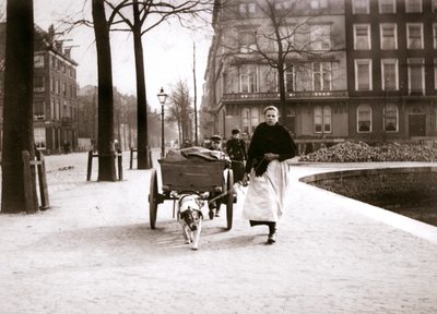 ドッグカートを持つ女性、ロッテルダム、1898年。 作： James Batkin