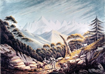 ヒマラヤのネパールの群れ、1826 作： James Bolivar Manson