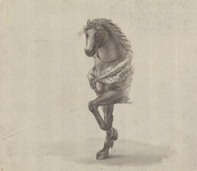 Estudo da frente de um cavalo 作： James Bruce