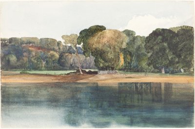木と水のある風景 作： James Bulwer