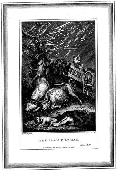 雨とあられの疫病、エジプトの7つの疫病の1つ、c1759〜c1789 作： James Caldwall