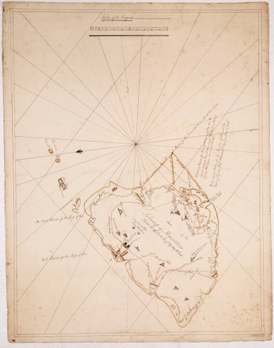 モーリシャス島 作： James Campbell