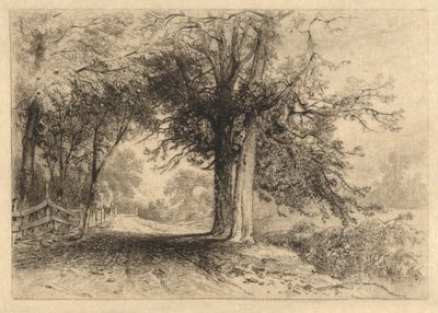 A Farm Lane、1887年1月、作品2 作： James David Smillie