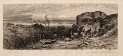 マーブルヘッドネック、1883年。 作： James David Smillie