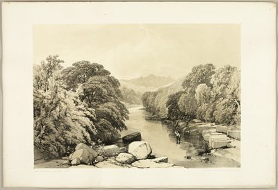 アッシュ、シカモア、オーク、「公園と森」より 作： James Duffield Harding