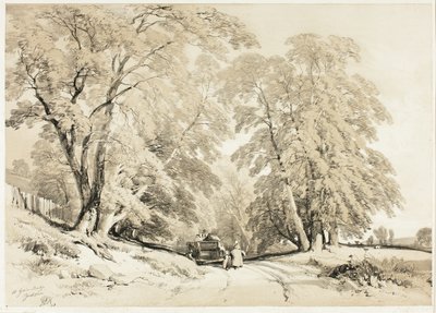公園と森のアッシュ 作： James Duffield Harding