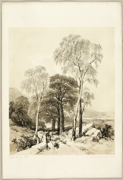 公園と森からのバーチとオーク 作： James Duffield Harding