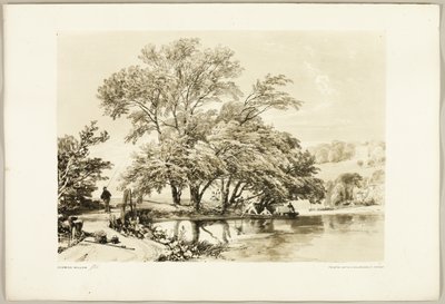 一般的な柳、公園と森から 作： James Duffield Harding