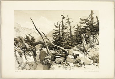 公園と森のカラマツ 作： James Duffield Harding