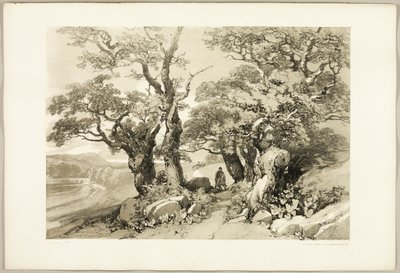 「公園と森」よりオールドオークス 作： James Duffield Harding