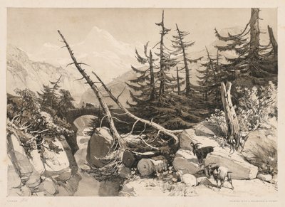 松の木と橋 作： James Duffield Harding