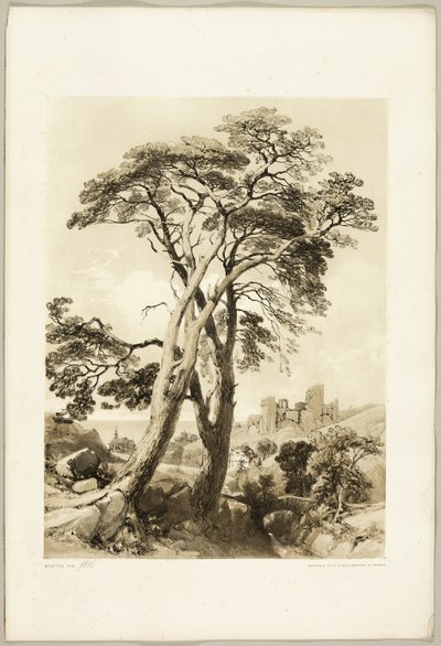 「公園と森」のスコッチファー 作： James Duffield Harding