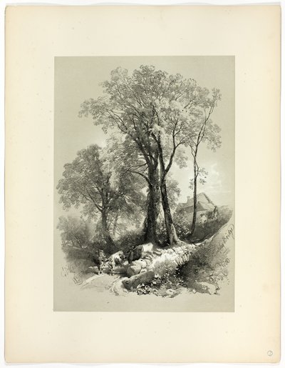 ピクチャースク・セレクションより、デボン州シプリー・ブリッジ 作： James Duffield Harding
