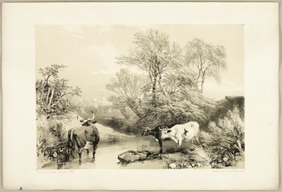 とげ、柳、ブナ、白樺、「公園と森」より 作： James Duffield Harding
