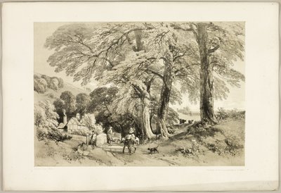 『公園と森』よりウィッチ・エルム 作： James Duffield Harding