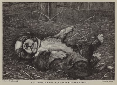 セントバーナードの子犬：無垢の眠り（エングレービング 作： James E. Bourhill