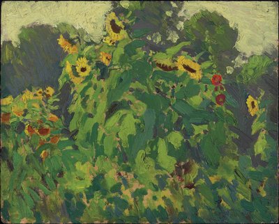 ひまわり、ソーンヒル、1916年（複合木材パルプボード上の油） 作： James Edward Hervey Macdonald