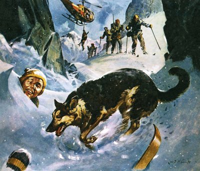 雪の中のレスキュー 作： James Edwin McConnell