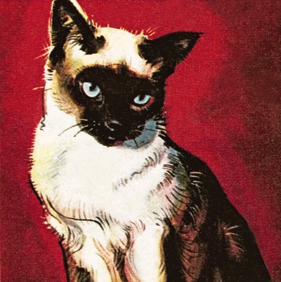 シャム猫 作： ジェームズ・エドウィン・マコーネル