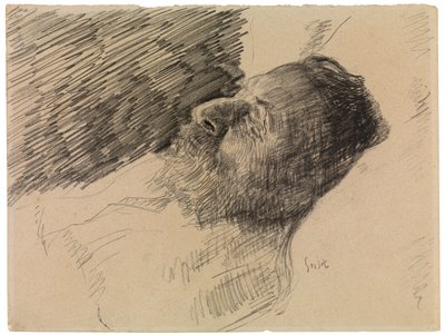 亡くなった画家の父 (紙にクレヨン) 作： James Ensor