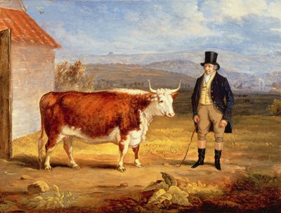 ジェームズホッジス氏と2歳のヘレフォードヘイファー、1843年頃 作： James Flewitt Mullock