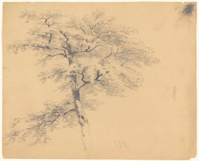 木 作： James Goodwyn Clonney