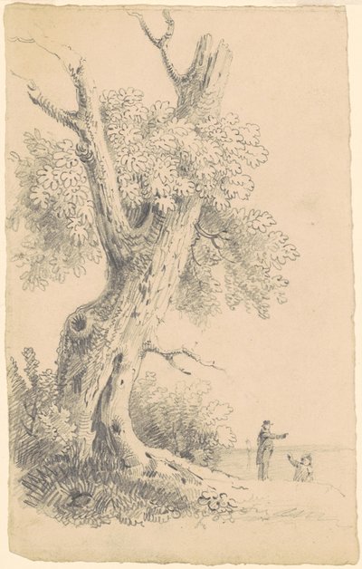 海岸近くの木 作： James Goodwyn Clonney