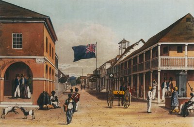 1820年と1821年、1820-21年に描かれた絵からのジャマイカ島の美しいツアー 作： James Hakewill