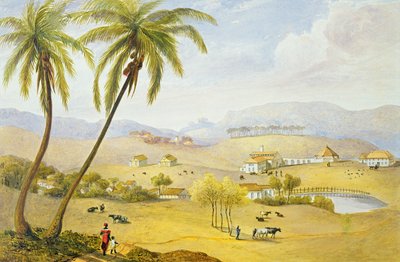 ホートンコート、ハノーバー、ジャマイカ、1820年頃 作： James Hakewill