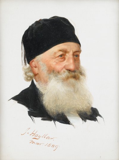 ひげを生やした紳士の研究、1889 作： James Hayllar