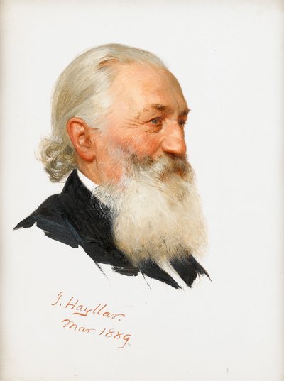 ひげを生やした紳士の研究、1889 作： James Hayllar